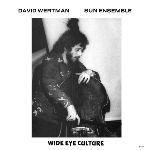 David Wertman Sun Ensemble Wide Eye Culture 3LP Vinyl NM No Obi