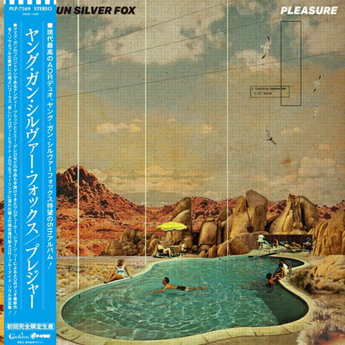 Young Gun Silver Fox Pleasure LP Vinyl Analog Music