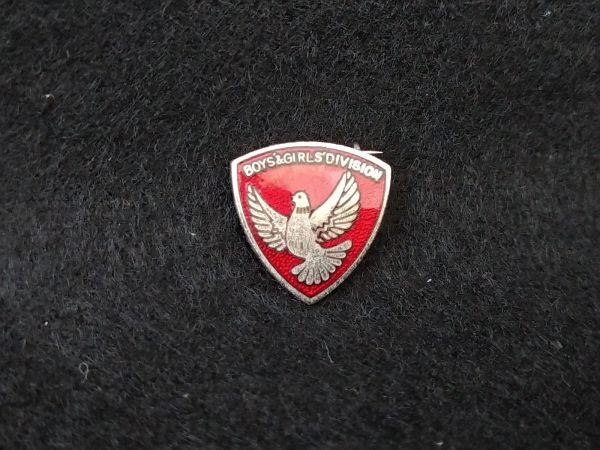Boys & Girls Division Pin Badge Retro Antique Collectible Used | Japanpricenet