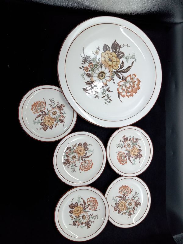 Set of 6 Floral Decorative Plates, Indoor Decor, Used, Collectible | Japanpricenet