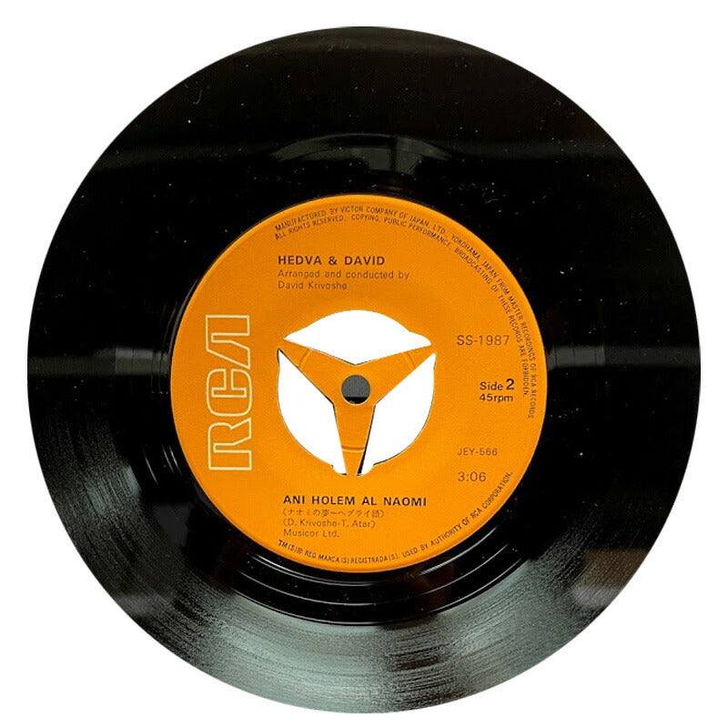 Naomi's Dream Hedva & David EP Used Music Record 1000 Yen
