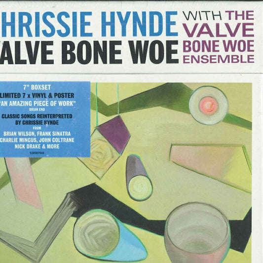 Chrissie Hynde The Valve Bone Woe 7" Vinyl BMG 538507821 M Used