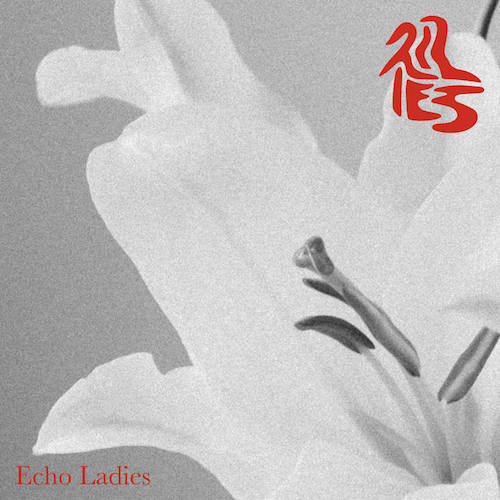 Echo Ladies Lilies Ltd Silver Vinyl LP Analog Record Used