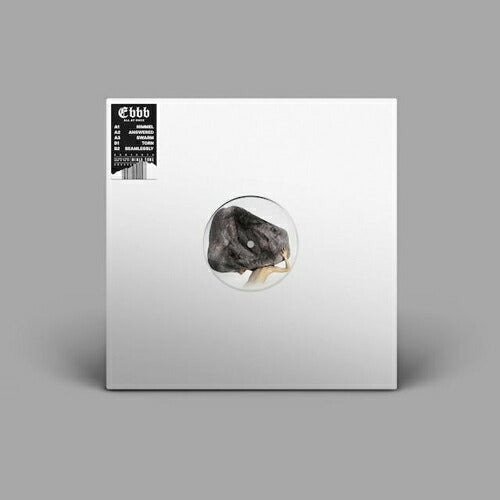 Future Islands All At Once 12" Vinyl Record Used