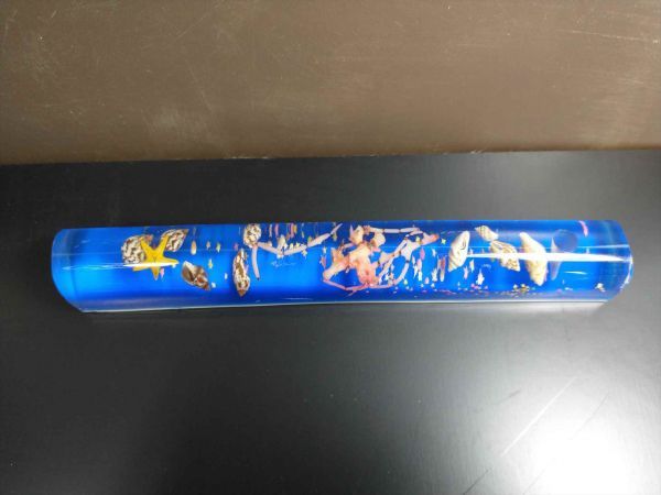 Glass Seashell Paperweight, Decorative Office Desk Accessory, Used | Japanpricenet