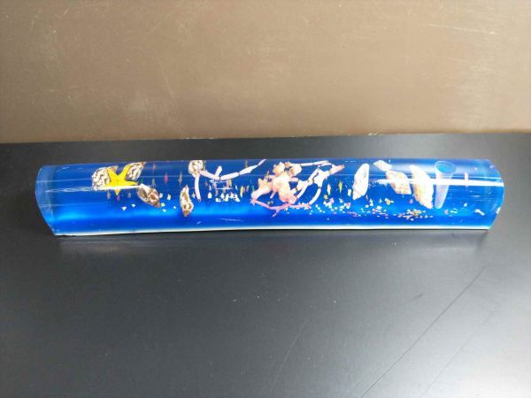 Glass Seashell Paperweight, Decorative Office Desk Accessory, Used | Japanpricenet