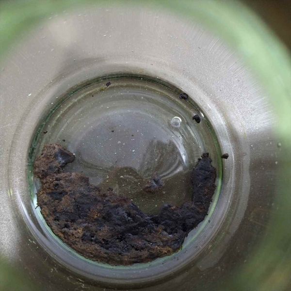 Vintage Oil Lamp Lantern Retro Antique Collectible Used | Japanpricenet