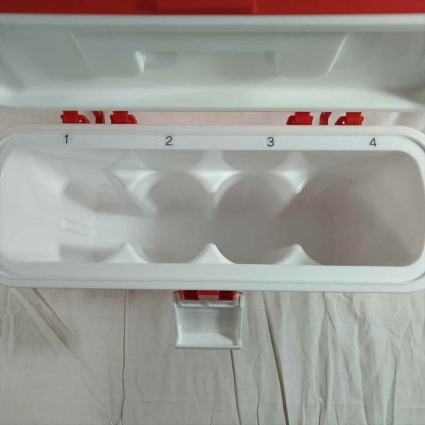 Coca-Cola Cooler Box for 4 PET Bottles, Used, Sports/Outdoor Use | Japanpricenet
