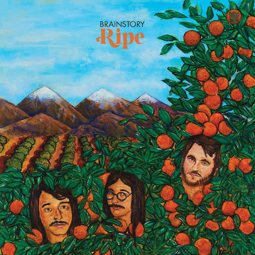 Brainstory Ripe Ltd Color Vinyl 12" Record Analog Used